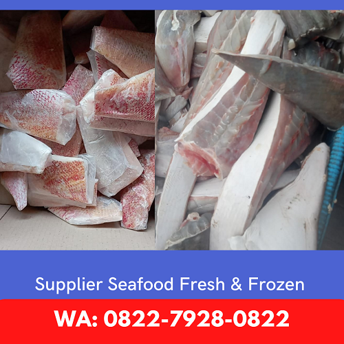 Menjual Seafood Fresh & Frozen Murah Di Oku Timur